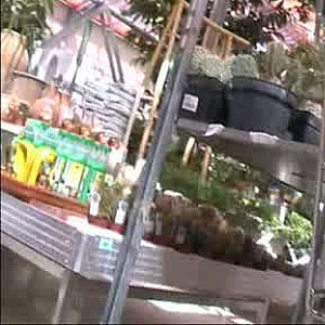 First Image Of ernst579's Video - next shopping video