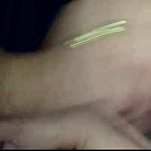 First Image Of dongeilo13's Video - hot blowjob