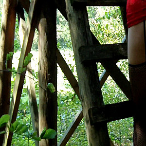 First Image Of moniq30's Video - peeing in the perch