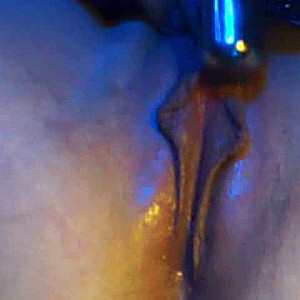 First Image Of dirkandbex's Video - wet wet wet!