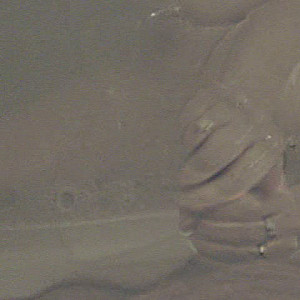First Image Of wir42's Video - 