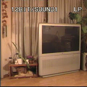 First Image Of Nylonsusi's Video - Susi die wichsende Strumpfhosen Schlampe