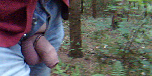 Waldspaziergang First Thumb Image
