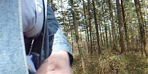cruising im Wald von Hesel First Thumb Image
