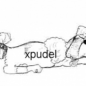 xpudel Profile Picture