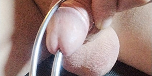 Cockring, Käfig und Penisplug First Thumb Image