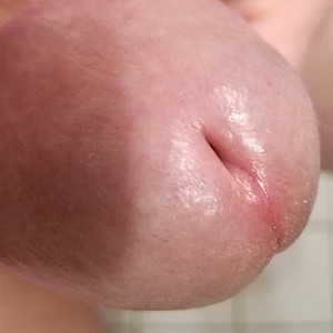 my cock 1 gallery image