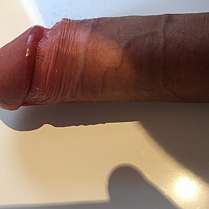 Jungschwanz Dick und Prall Galerie