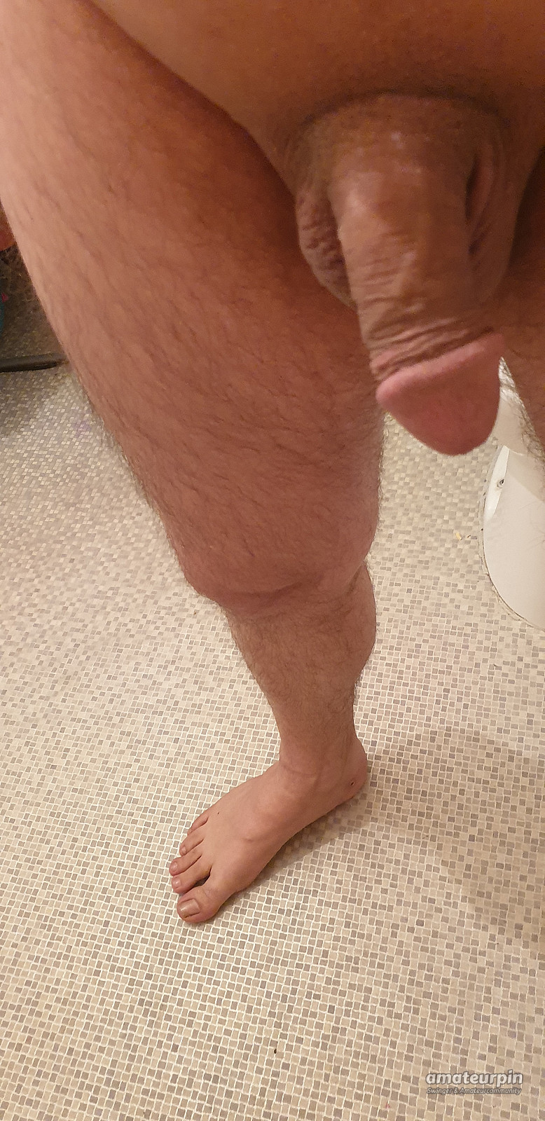 my shaved cock gallery image