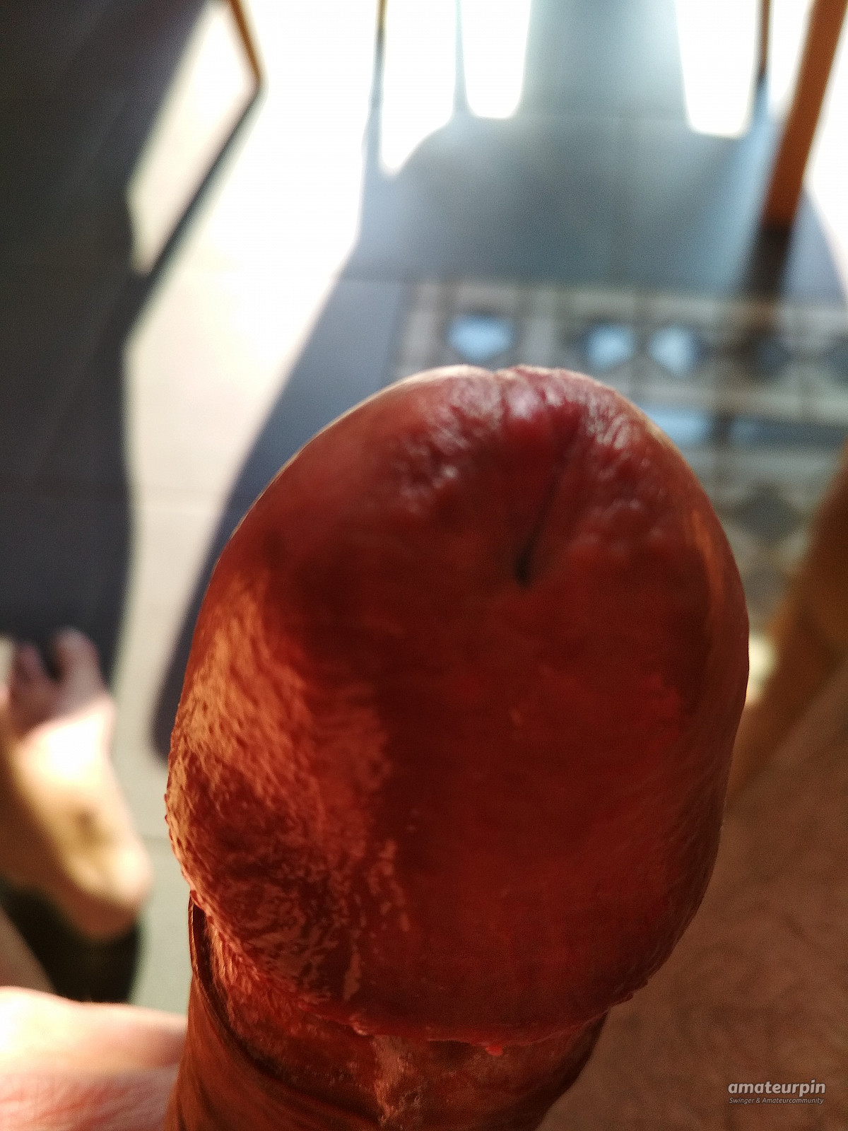 my cock gallery image