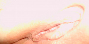 PISSEND CLOSEUP First Thumb Image