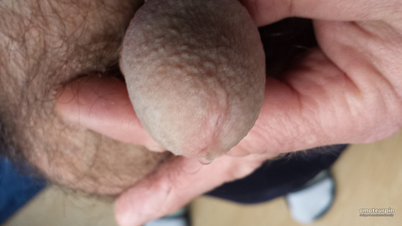 my cock gallery image