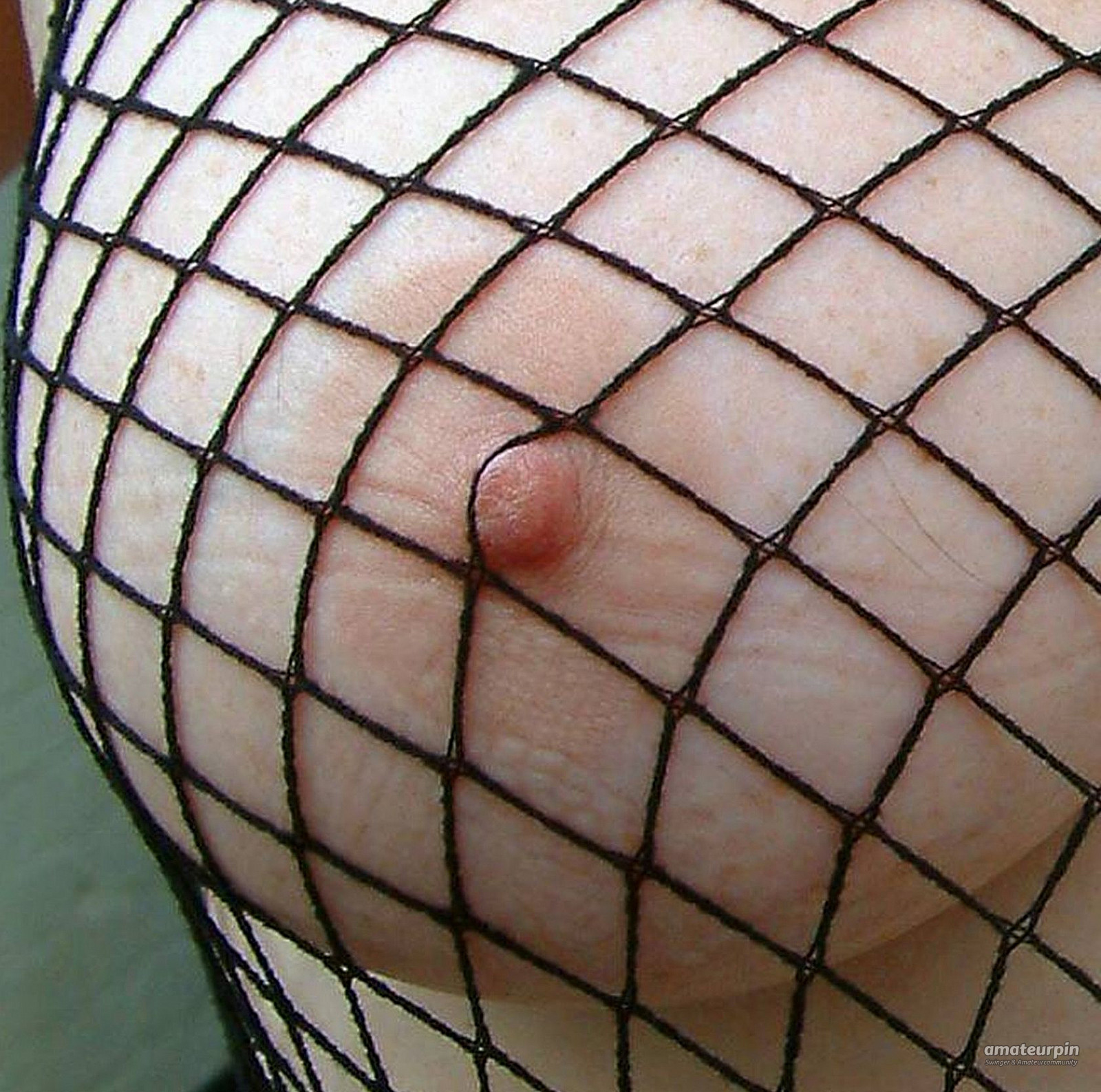 lizzy in fishnet body gallery image