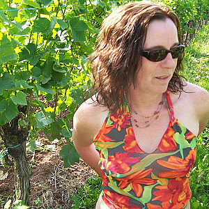 In the vineyard gallery image