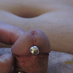 First image of augsdirk's Gallery - my pierced cock