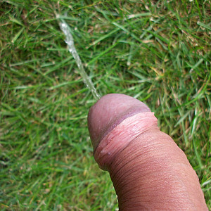 my cock gallery image