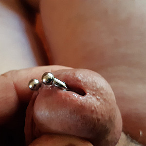 Piercing Penis Galerie