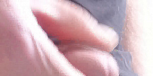 Streicheleinheiten für den Kompagnon First Thumb Image