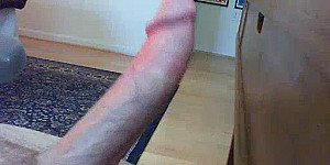 Fettschwanz vor der Livecam First Thumb Image