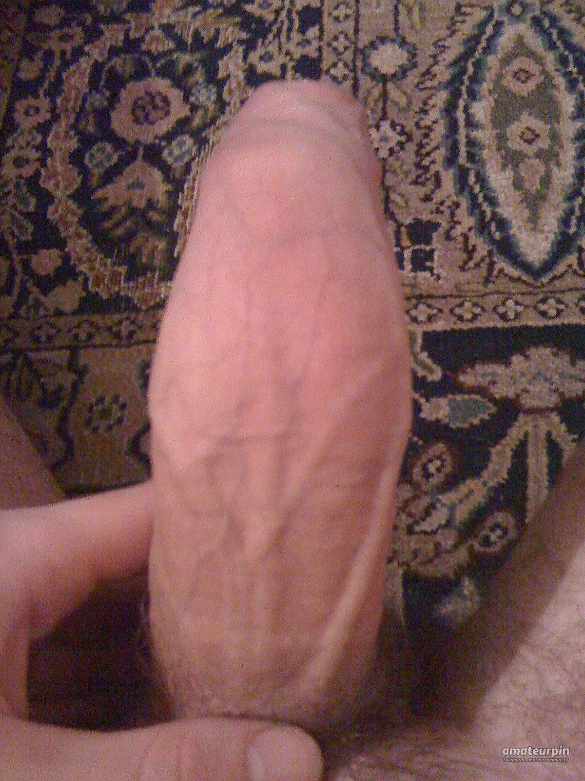 my cock gallery image