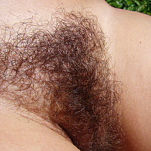 hairy pussy 3 Galeriebild