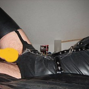 latexstute Profilbild