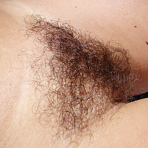 hairy pussy 3 Galerie