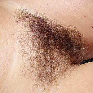 hairy pussy 3 Galeriebild