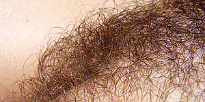 hairy pussy 2 First Thumb Image
