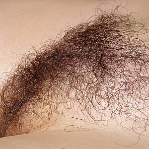 hairy pussy 2 Galerie