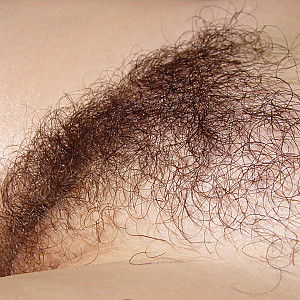 hairy pussy 2 Galeriebild