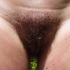 hairy pussy 2 Galeriebild