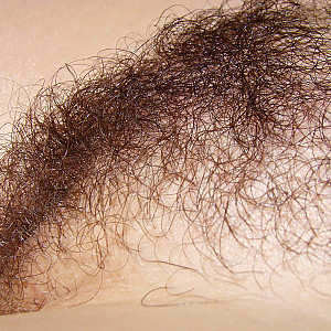 hairy pussy 2 Galeriebild