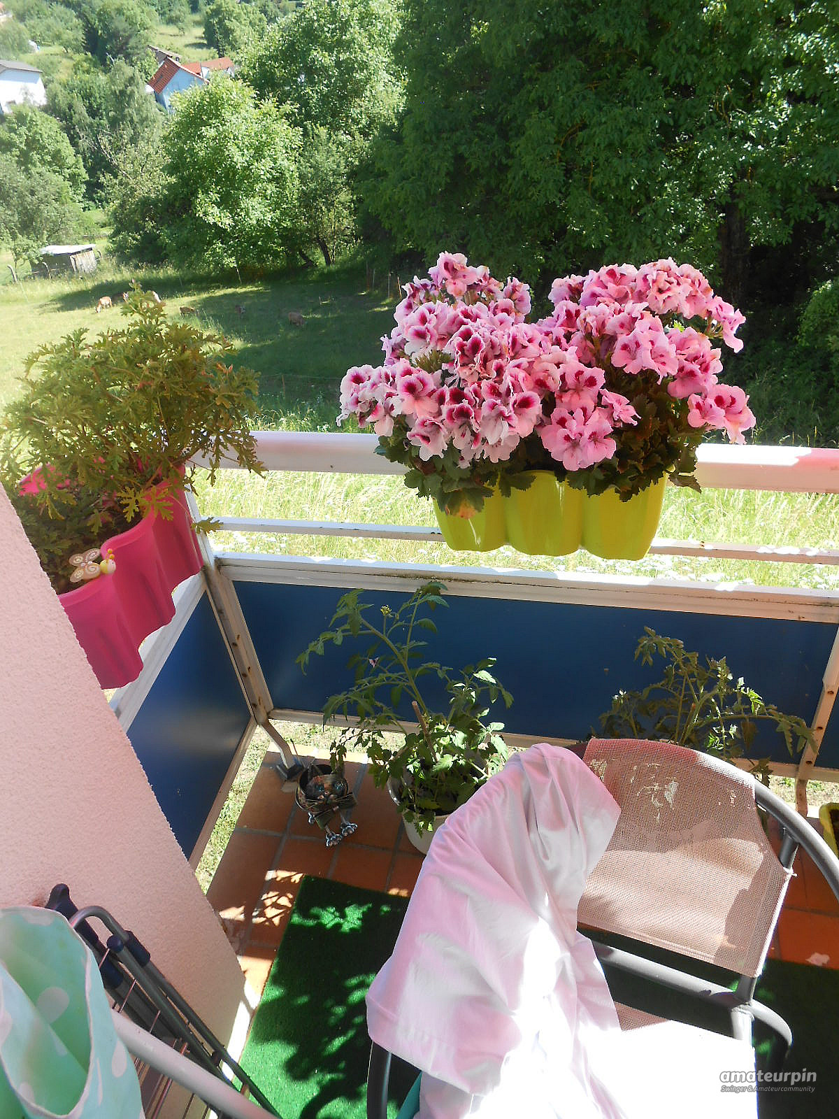 Mal wieder was neues ,ein schöner Frühsommertag aufm Balkon Galeriebild