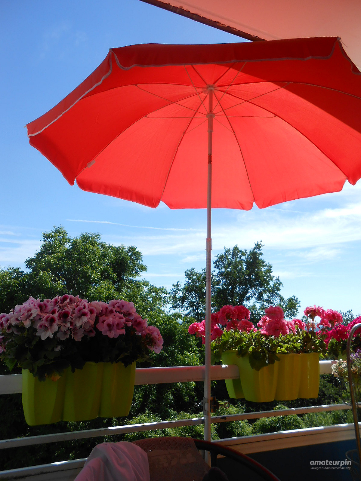 Mal wieder was neues ,ein schöner Frühsommertag aufm Balkon Galeriebild