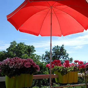 Mal wieder was neues ,ein schöner Frühsommertag aufm Balkon Galeriebild