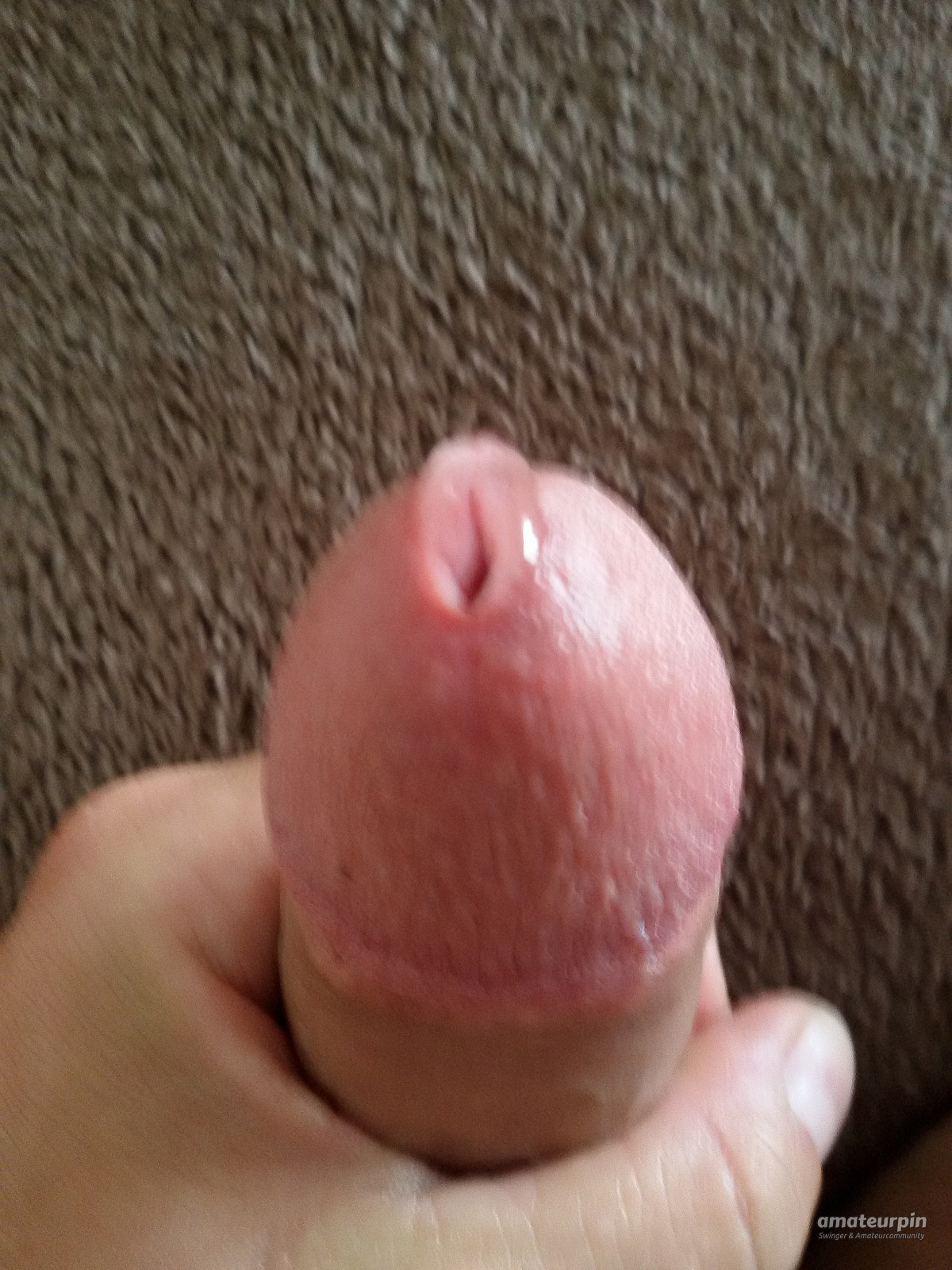 precum gallery image