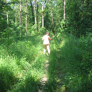 Unterwegs im Wald allein Galeriebild