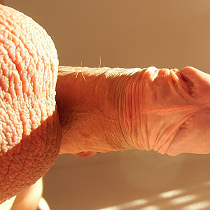 Erection and close up gallery image