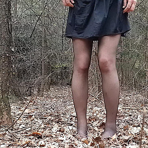 Nylons im Wald Galeriebild