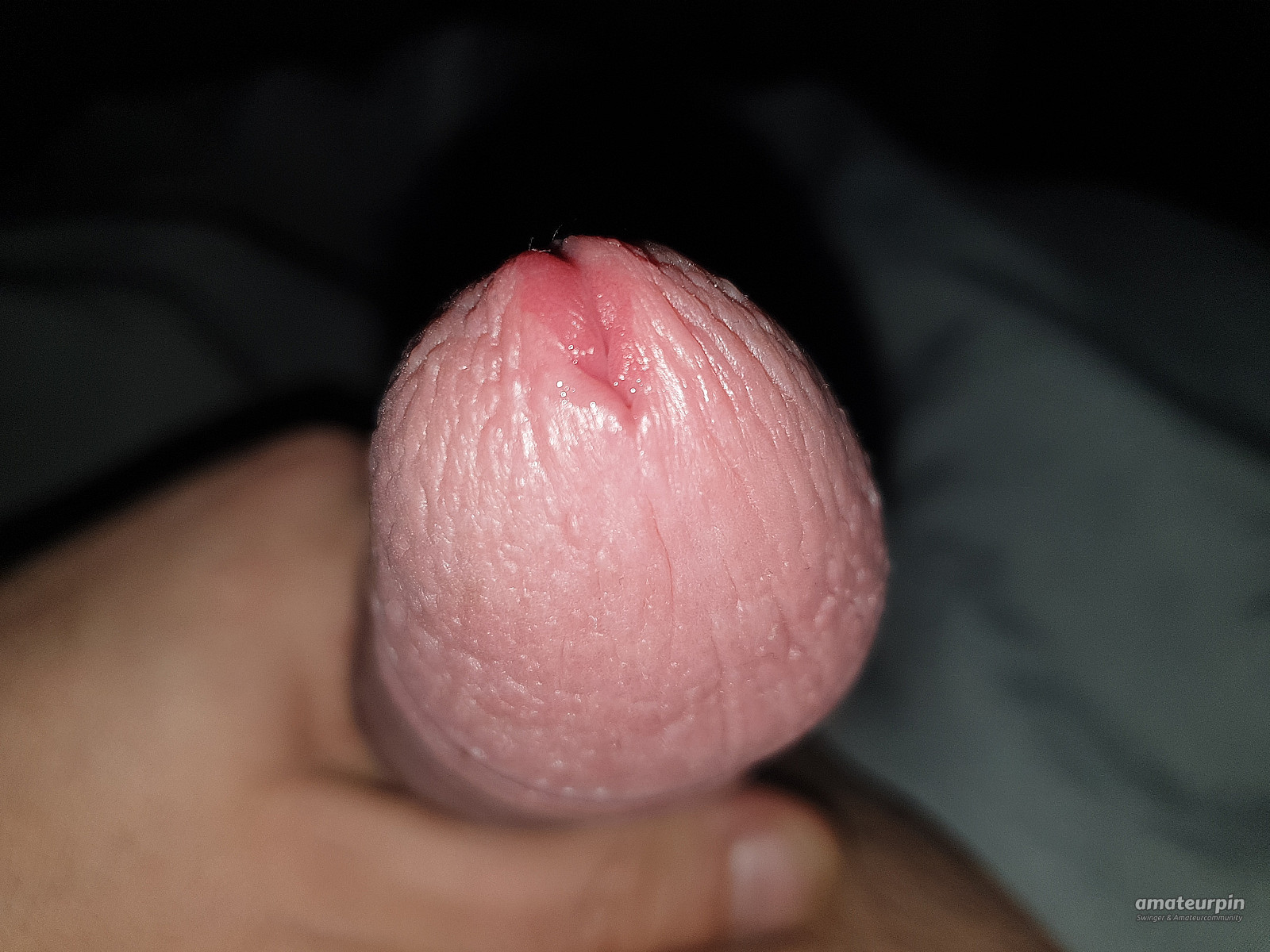 my dick gallery image