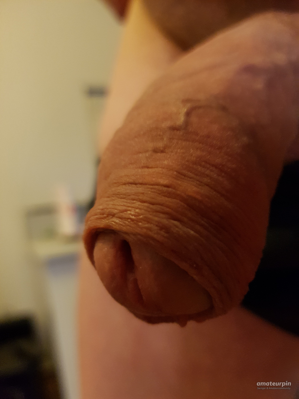 my cock gallery image