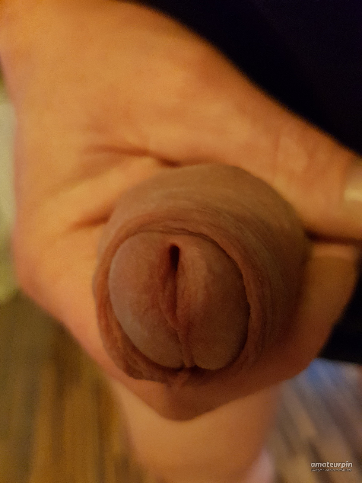 my cock gallery image