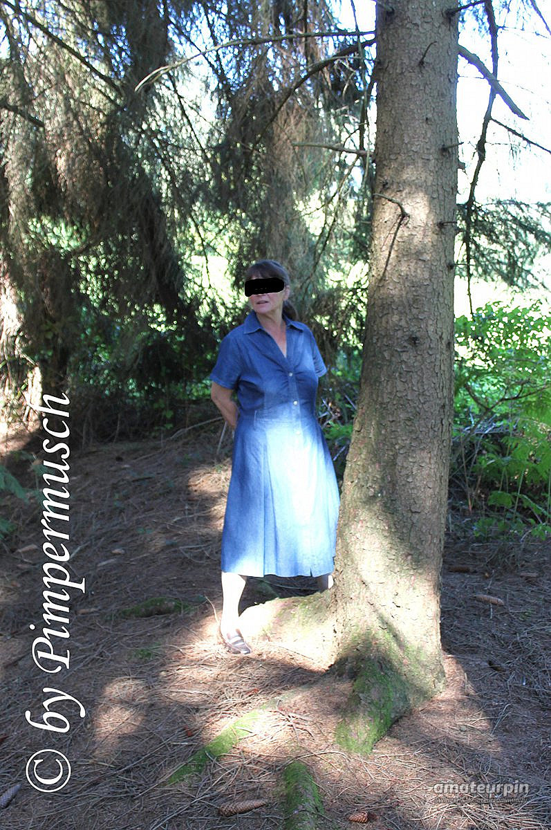 in the woods 1 gallery image