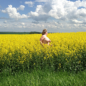 Frühling, Sommer, Herbst......... Galeriebild