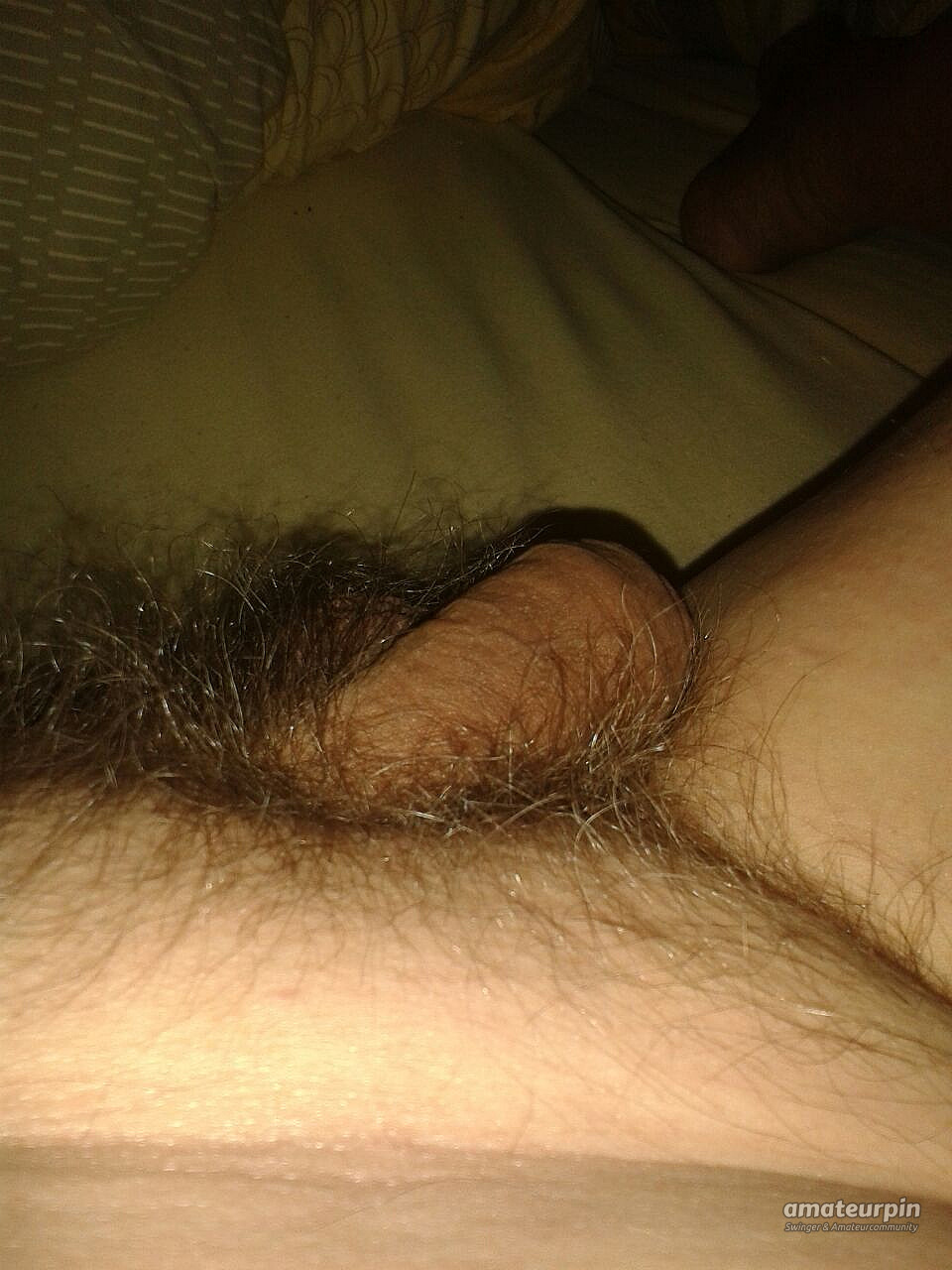 My horny dick gallery image