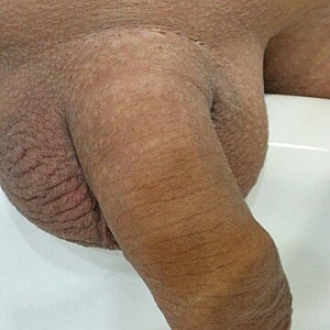 shaved cock gallery image