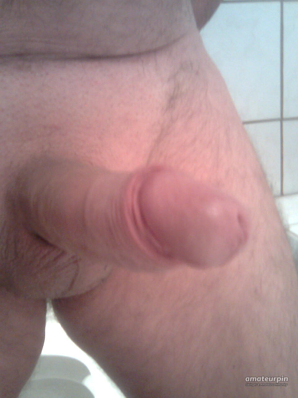 my dick gallery image