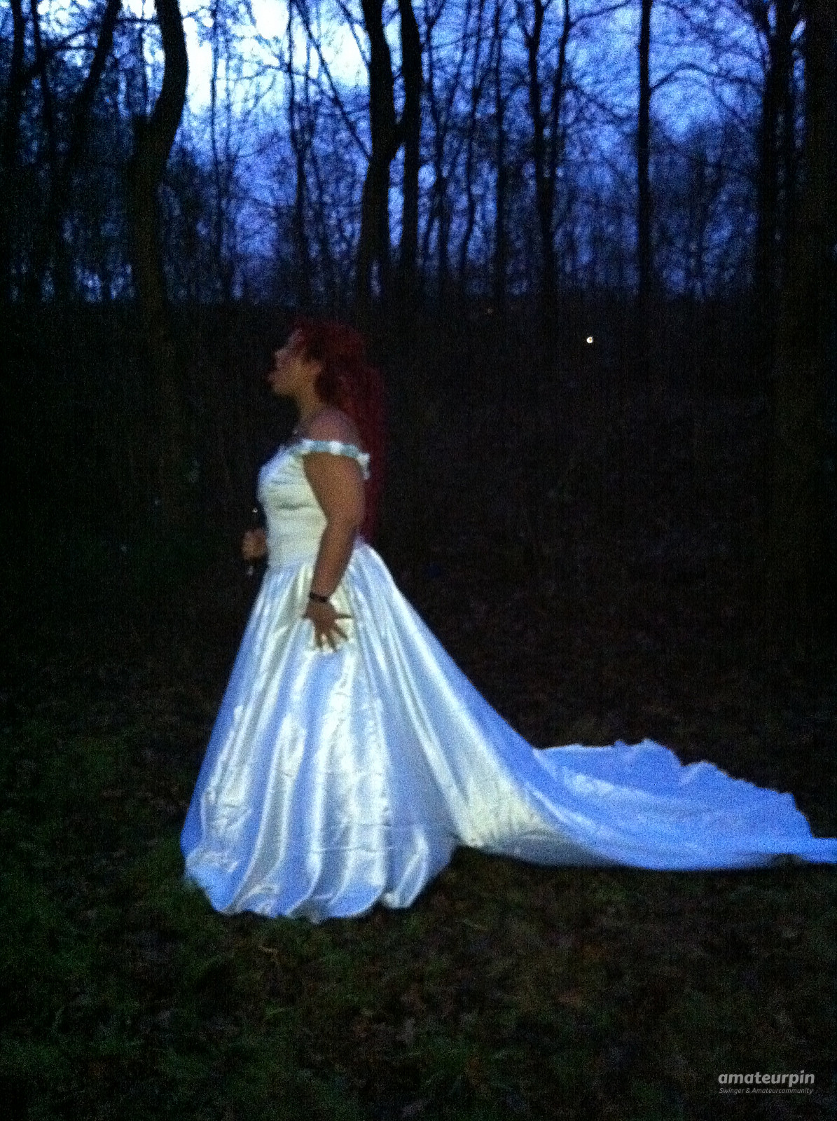 in the Bride's dress gallery image