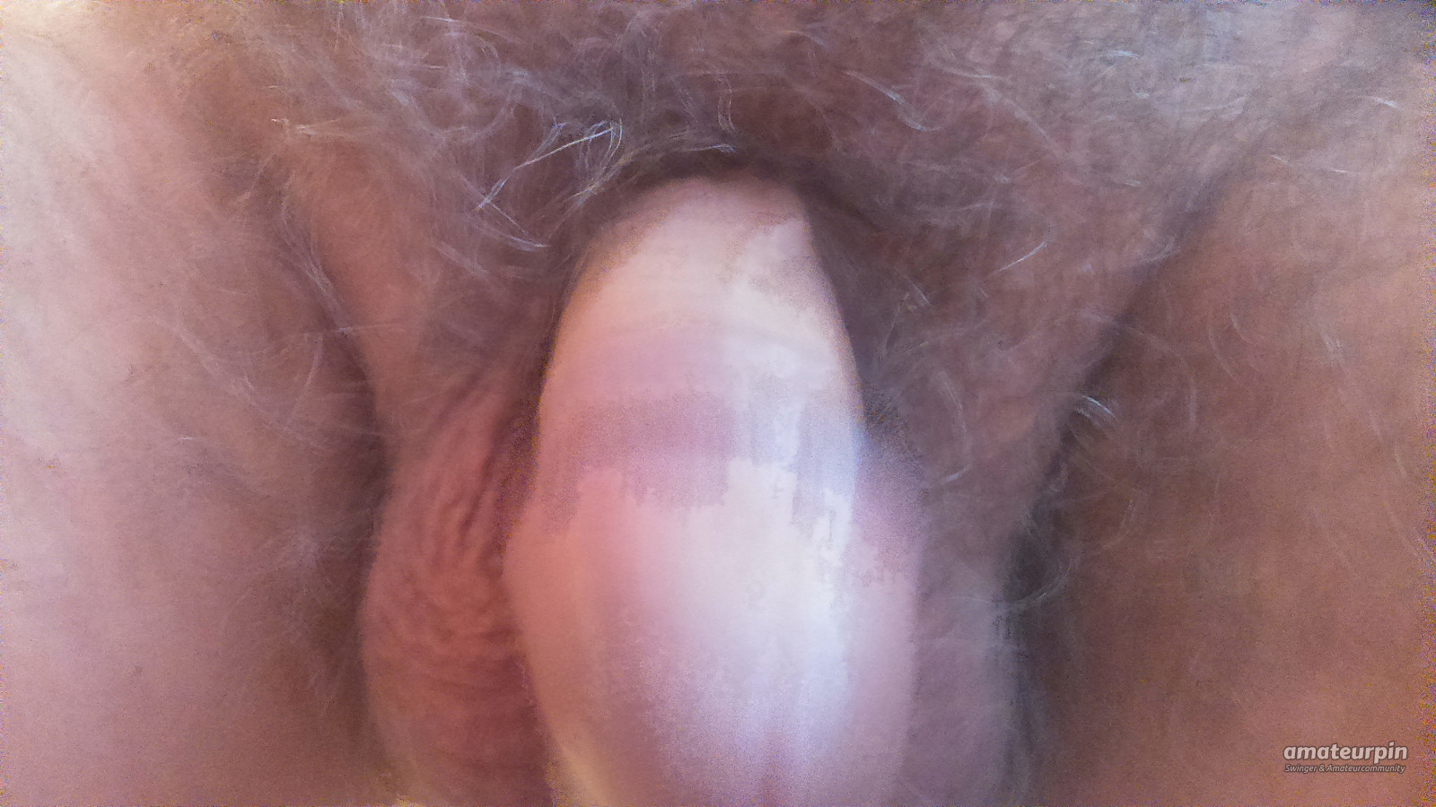 my cock gallery image